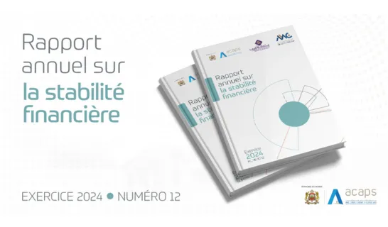 Publication du Rapport sur la Stabilité Financière au titre de l'année 2024