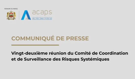 Vingt-deuxième réunion du Comité de Coordination et de Surveillance des Risques Systémiques