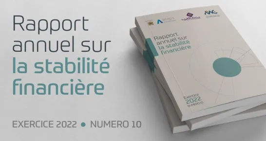 Publication du Rapport sur la Stabilité Financière au titre de l’année 2022